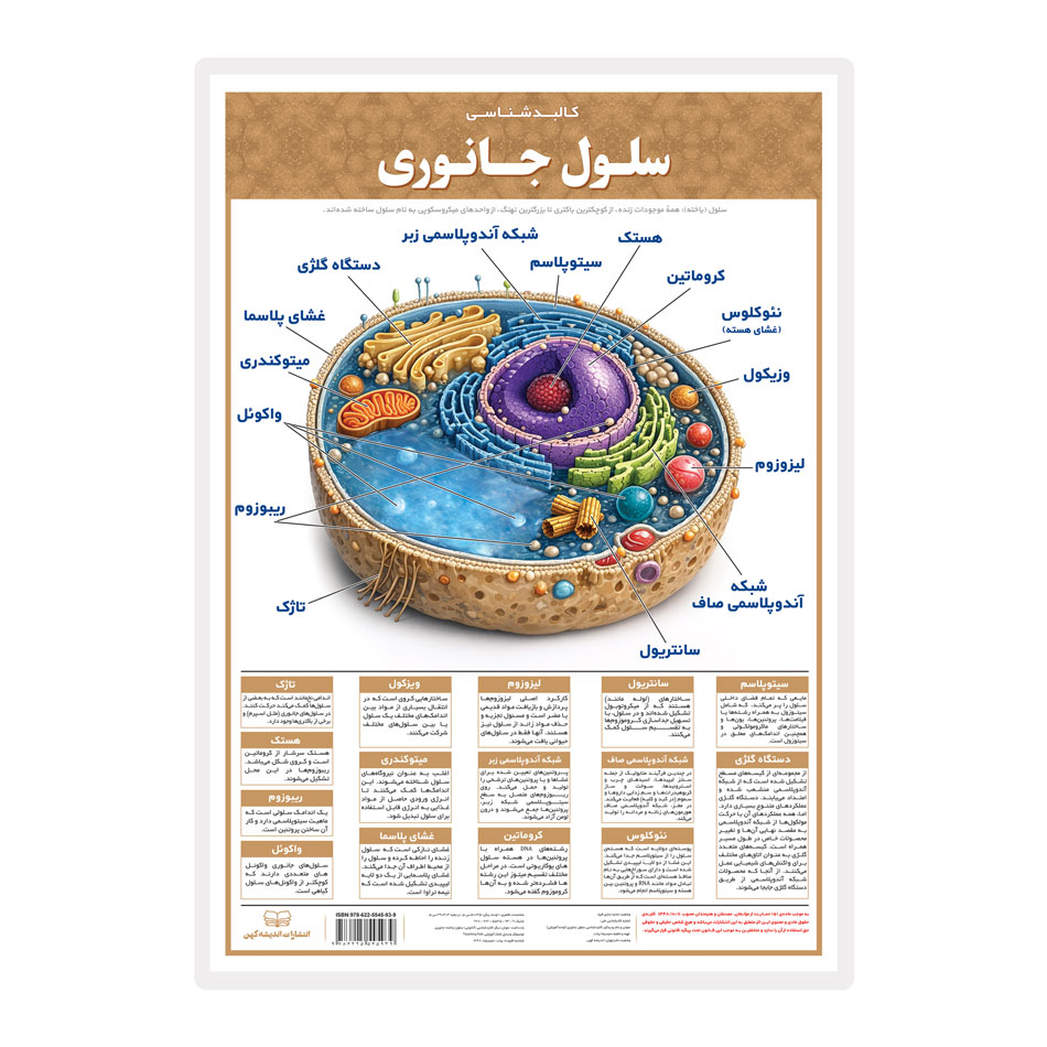 پوستر آموزشی کالبدشناسی سلول جانوری (لمینتA3) انتشارات اندیشه کهن