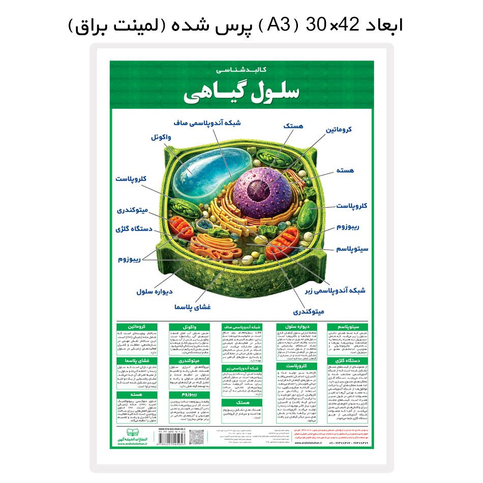 پوستر آموزشی کالبدشناسی سلول گیاهی (لمینتA3) انتشارات اندیشه کهن